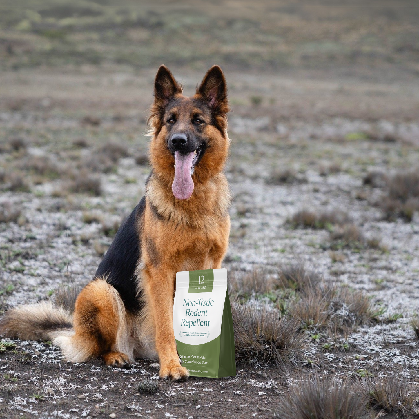 Keeps Mice Away, Safe for Pets & Kids - Repellent Pouches