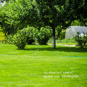 Try Deer & Squirrel Repellent - Keeps Deer & Squirrels Away Safe for Kids & Pets