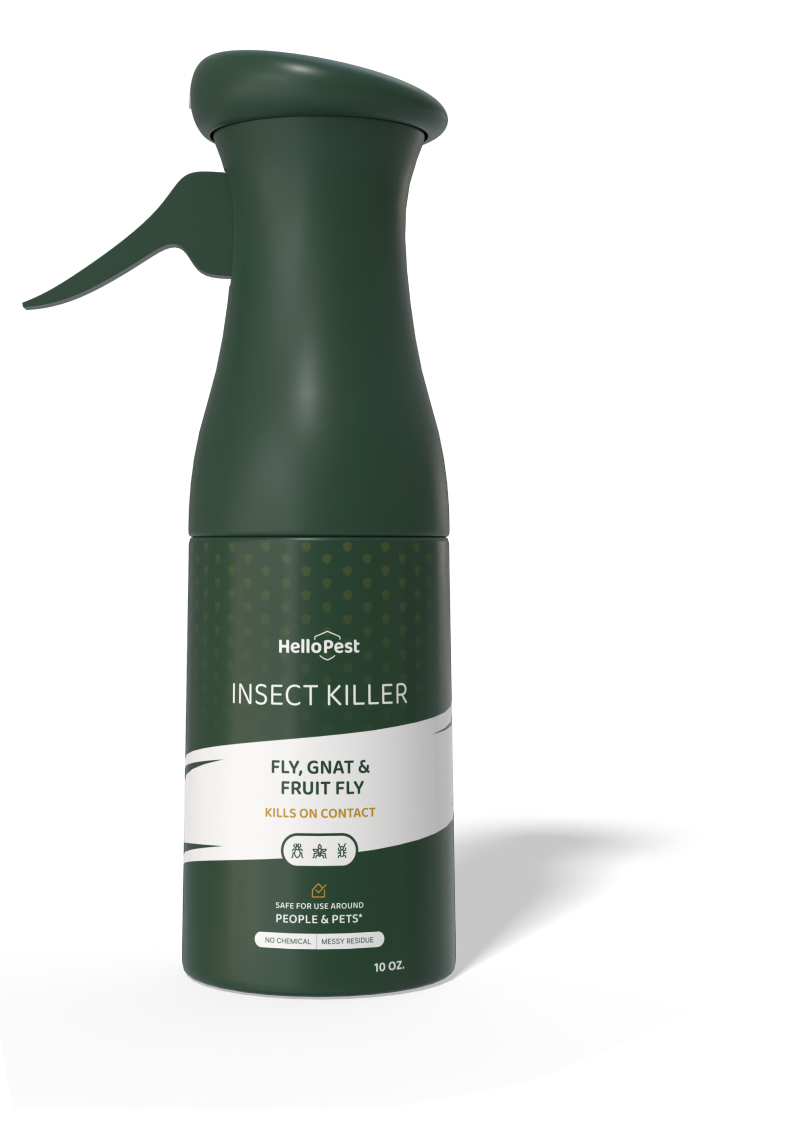 Try BugShield Area Spray - Kills Bugs & Insects, Safe for Kids & Pets