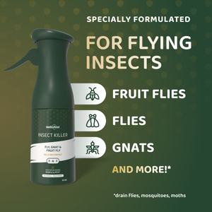 Try BugShield Area Spray - Kills Bugs & Insects, Safe for Kids & Pets