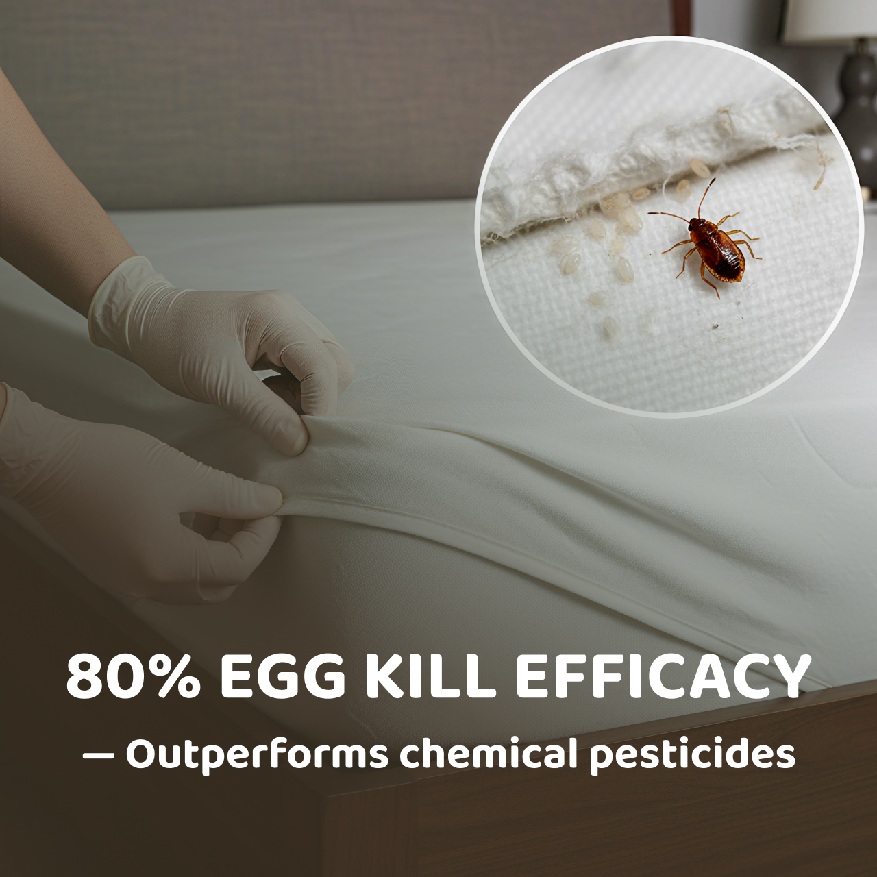 Try BedBugRx - Kills Bedbugs, Mites, & Eggs, Non-Toxic, Child & Pet Safe